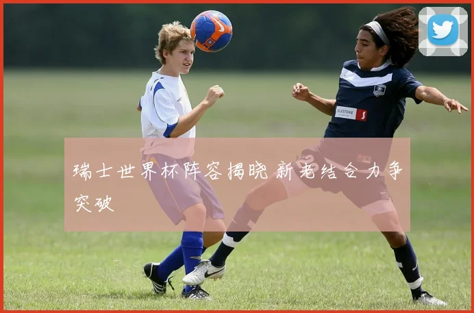 瑞士世界杯阵容揭晓 新老结合力争突破
