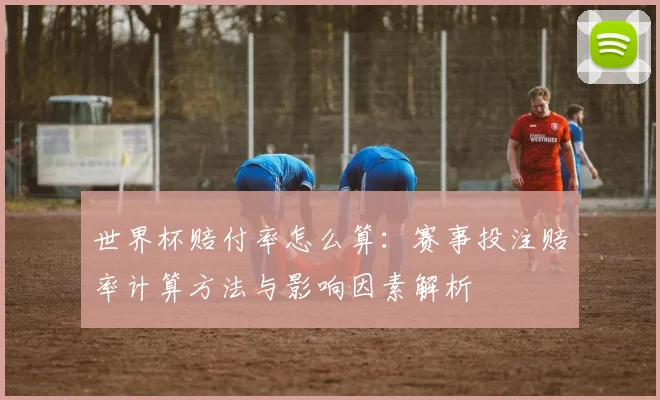 世界杯赔付率怎么算：赛事投注赔率计算方法与影响因素解析