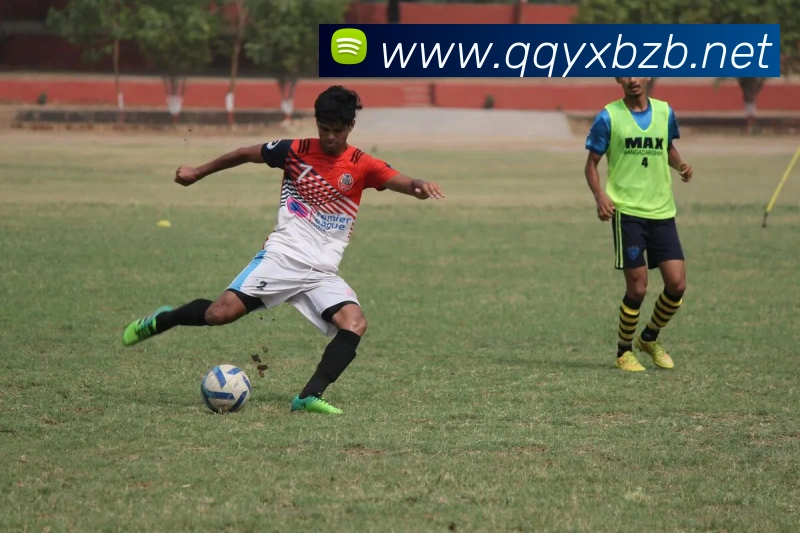 leyu乐鱼中国官方网站平台生态图