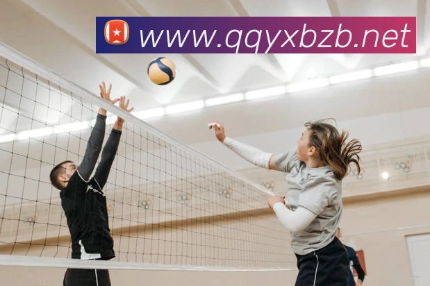 leyu乐鱼中国官方网站APP 封面图